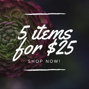 All items 5 for $25. Items added weekly